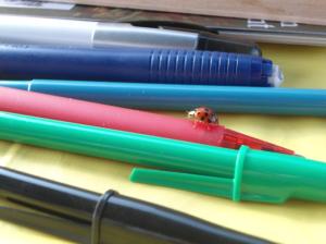 Cette coccinelle est venue m'encourager, et se renseigner sur mes instruments de création.