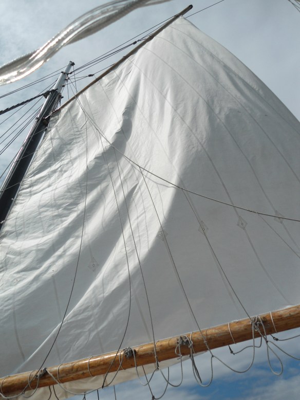 Une des voiles du Silva, sur lequel j'ai fait une petite croisière dans le port d'Halifax. Je suis fascinée par les voiles, les mâts et toutes ces cordes, dont je connaîtrai peut-être les noms et les utilités un jour!