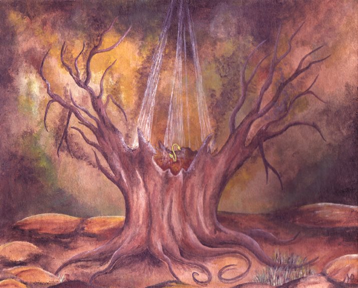 Toile A Lesson Learnt