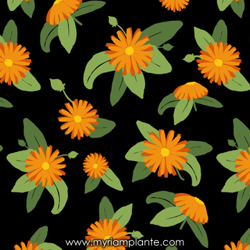 Motif soucis par Myriam Plante
